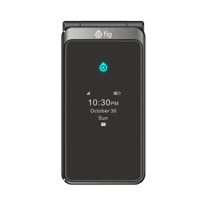 Fig Flip II Pro - Android Auto Edition